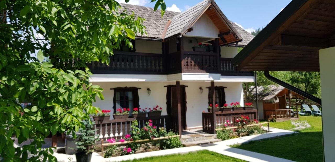 Pensiunea Bradet Broşteni Kültér fotó
